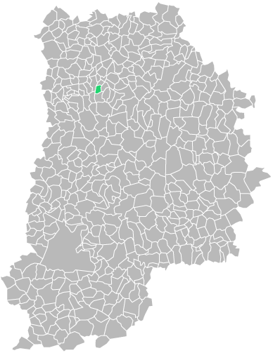 Destruction guepes et frelons à Magny-le-Hongre (seine-et-marne-77)