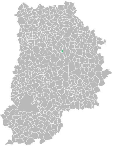 Destruction guepes et frelons à Mauperthuis (seine-et-marne-77)