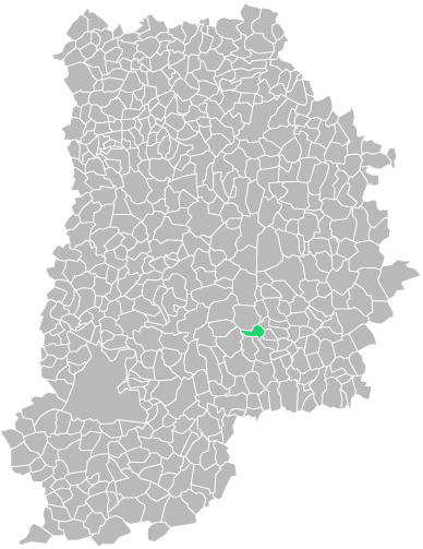 Destruction guepes et frelons à Meigneux (seine-et-marne-77)