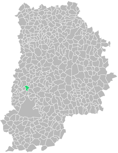 Destruction guepes et frelons à Melun (seine-et-marne-77)