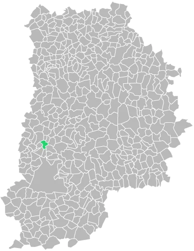 Destruction guepes et frelons à Melun (seine-et-marne-77)