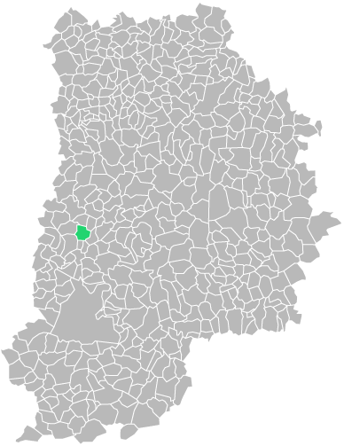 Destruction guepes et frelons à Montereau-sur-le-Jard (seine-et-marne-77)