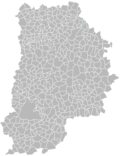 Destruction guepes et frelons à Nanteuil-sur-Marne (seine-et-marne-77)