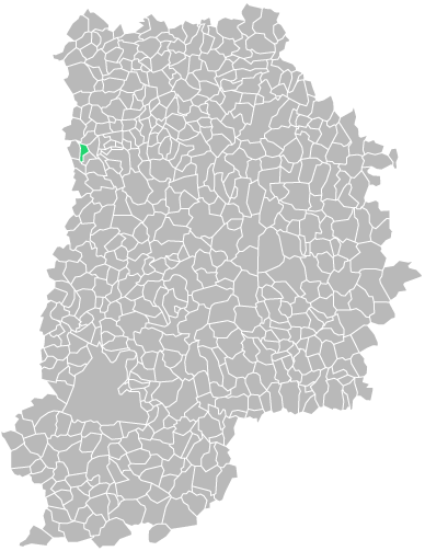 Destruction guepes et frelons à Noisiel (seine-et-marne-77)