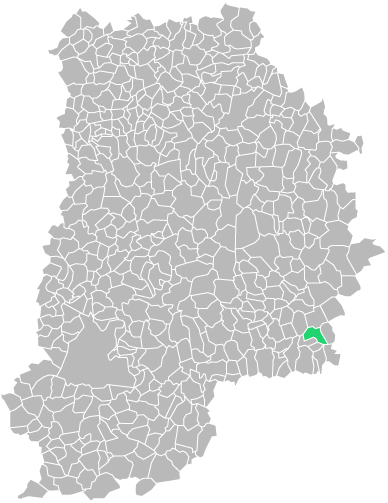 Destruction guepes et frelons à Noyen-sur-Seine (seine-et-marne-77)