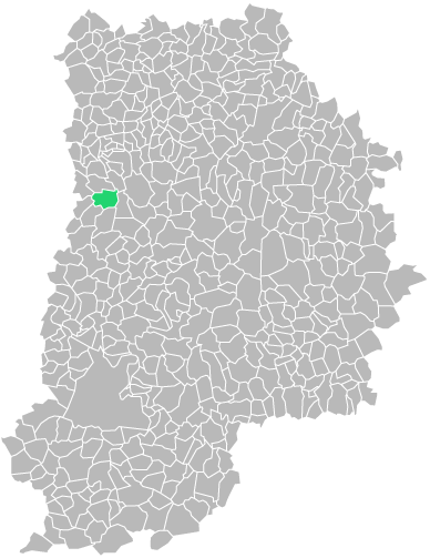 Destruction guepes et frelons à Ozoir-la-Ferrière (seine-et-marne-77)