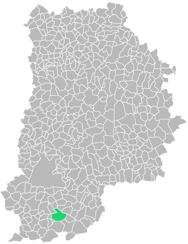 Destruction guepes et frelons à Poligny (seine-et-marne-77)