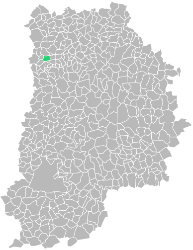 Destruction guepes et frelons à Pomponne (seine-et-marne-77)
