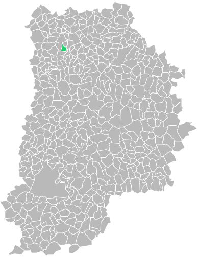 Destruction guepes et frelons à Précy-sur-Marne (seine-et-marne-77)