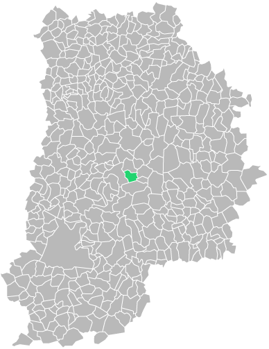 Destruction guepes et frelons à Quiers (seine-et-marne-77)