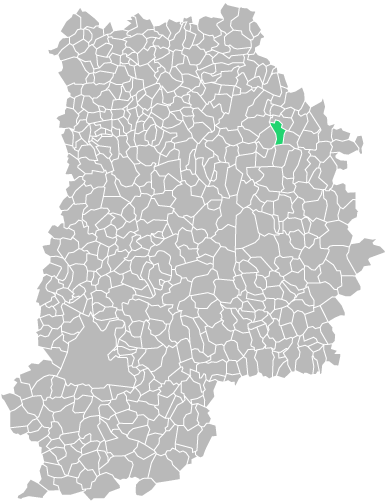 Destruction guepes et frelons à Rebais (seine-et-marne-77)