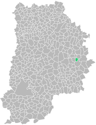Destruction guepes et frelons à Rupéreux (seine-et-marne-77)
