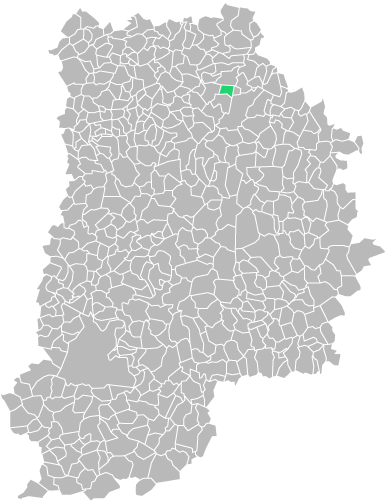 Destruction guepes et frelons à Sammerons (seine-et-marne-77)