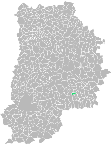 Destruction guepes et frelons à Sigy (seine-et-marne-77)