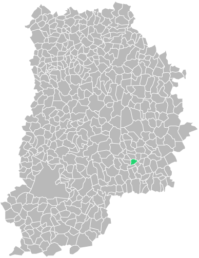 Destruction guepes et frelons à Thénisy (seine-et-marne-77)
