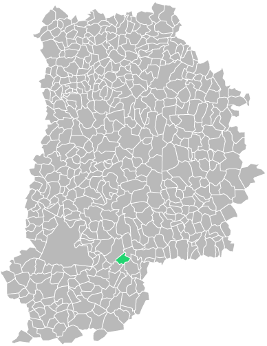 Destruction guepes et frelons à Varennes-sur-Seine (seine-et-marne-77)