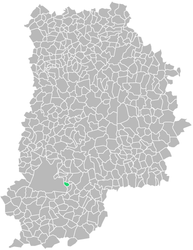 Destruction guepes et frelons à Veneux-les-Sablons (seine-et-marne-77)