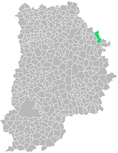 Destruction guepes et frelons à Verdelot (seine-et-marne-77)
