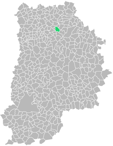 Destruction guepes et frelons à Villemareuil (seine-et-marne-77)