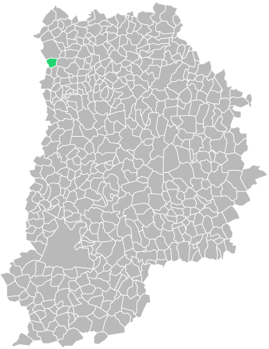 Destruction guepes et frelons à Villeparisis (seine-et-marne-77)
