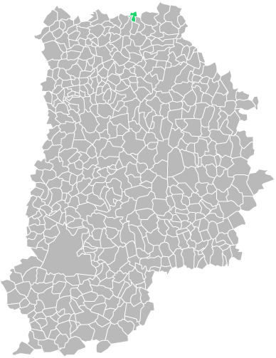 Destruction guepes et frelons à Vincy-Manœuvre (seine-et-marne-77)