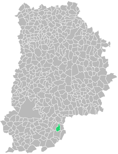 Destruction guepes et frelons à Voulx (seine-et-marne-77)