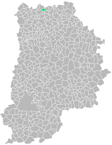 Destruction guepes et frelons à Forfry (seine-et-marne-77)