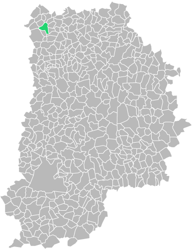 Destruction guepes et frelons à thieux (seine-et-marne-77)