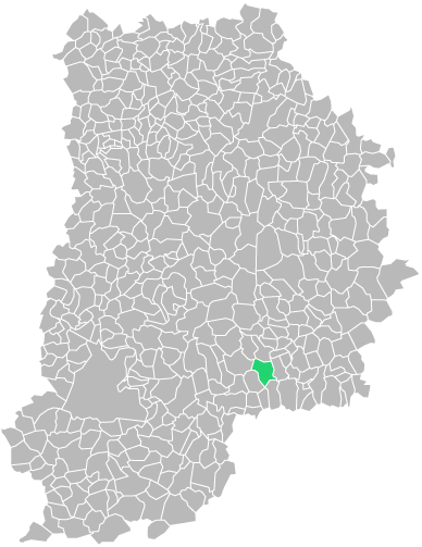 Destruction guepes et frelons à Égligny (seine-et-marne-77)