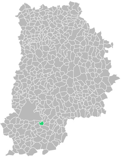 Destruction guepes et frelons à Épisy (seine-et-marne-77)