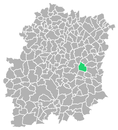 Destruction guepes et frelons à Ballancourt-sur-Essonne (Essonne-91)