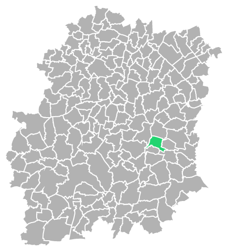 Destruction guepes et frelons à Baulne (Essonne-91)