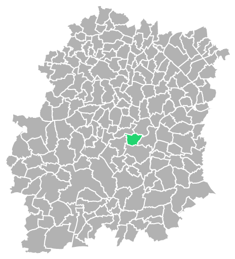 Destruction guepes et frelons à Bouray-sur-Juine (Essonne-91)
