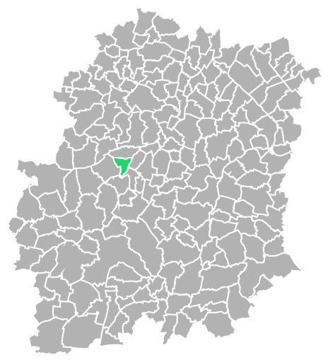 Destruction guepes et frelons à Breux-Jouy (Essonne-91)
