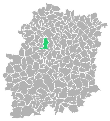 Destruction guepes et frelons à Bruyères-le-Châtel (Essonne-91)