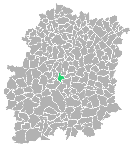 Destruction guepes et frelons à Chamarande (Essonne-91)