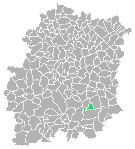 Destruction guepes et frelons à Courdimanche-sur-Essonne (Essonne-91)