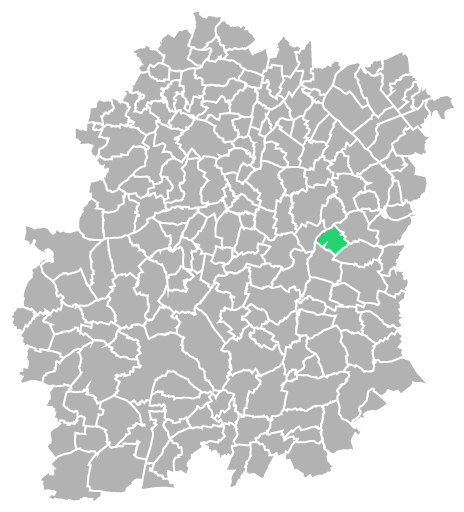Destruction guepes et frelons à Fontenay-le-Vicomte (Essonne-91)