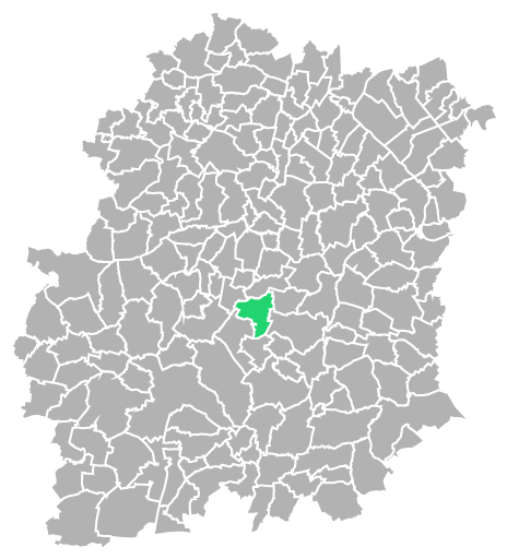 Destruction guepes et frelons à Janville-sur-Juine (Essonne-91)