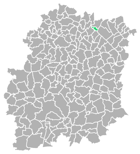 Destruction guepes et frelons à Juvisy-sur-Orge (Essonne-91)