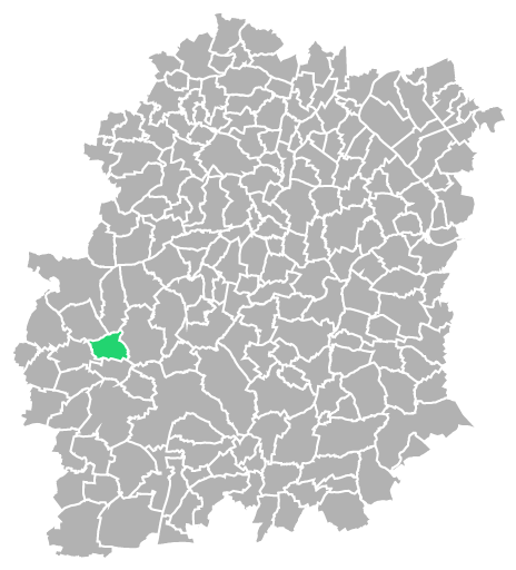 Destruction guepes et frelons à La-Forêt-le-Roi (Essonne-91)