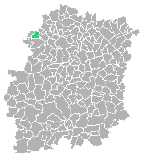 Destruction guepes et frelons à Les-Molières (Essonne-91)