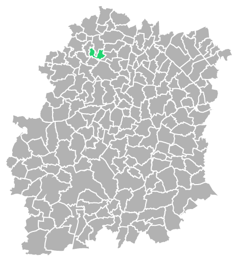 Destruction guepes et frelons à Les-Ulis (Essonne-91)