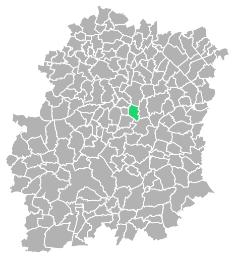 Destruction guepes et frelons à Marolles-en-Hurepoix (Essonne-91)