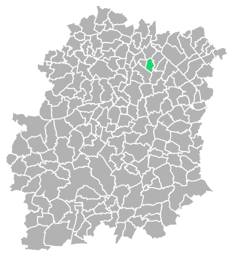 Destruction guepes et frelons à Morsang-sur-Orge (Essonne-91)