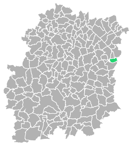 Destruction guepes et frelons à Morsang-sur-Seine (Essonne-91)