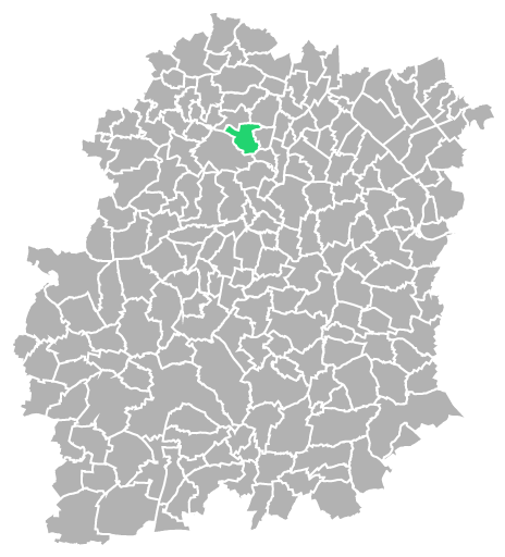 Destruction guepes et frelons à Nozay (Essonne-91)