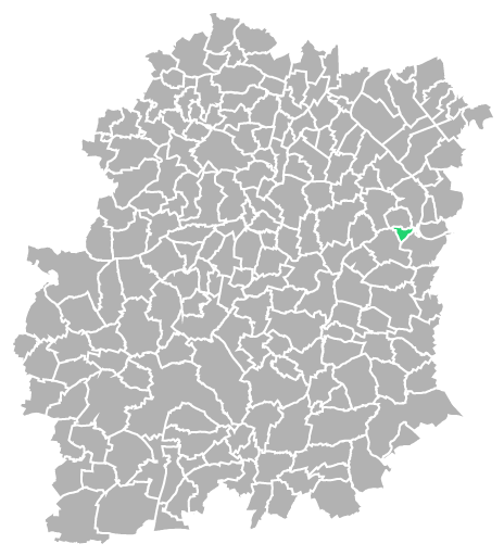 Destruction guepes et frelons à Ormoy (Essonne-91)