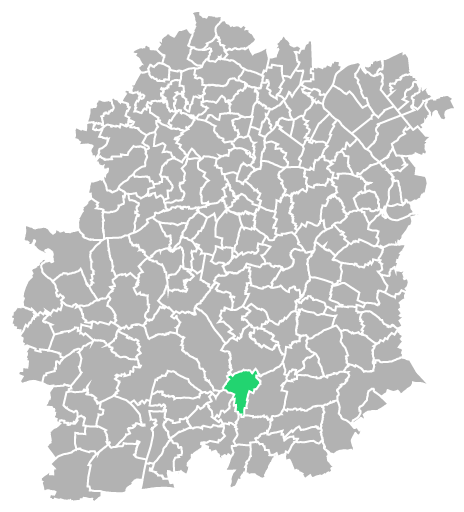 Destruction guepes et frelons à Puiselet-le-Marais (Essonne-91)