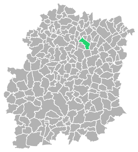 Destruction guepes et frelons à Sainte-Geneviève (Essonne-91)